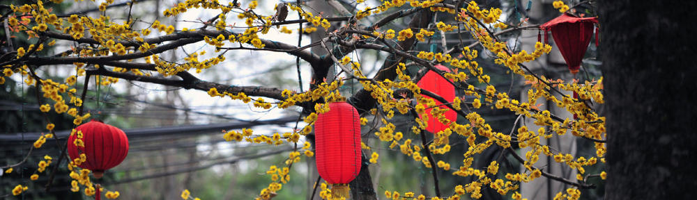 beehive botancals